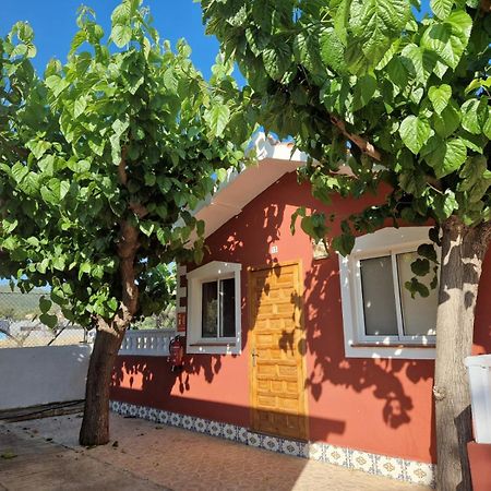 Camping Los Pinos Peñíscola Eksteriør bilde