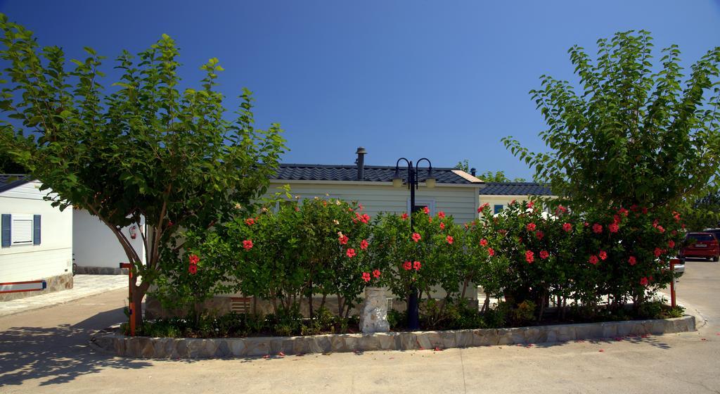 Camping Los Pinos Peñíscola Eksteriør bilde